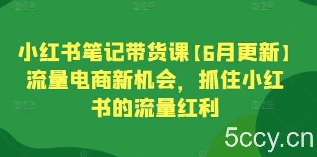 小红书笔记带货课【6月更新】流量电商新机会，抓住小红书的流量红利-我创创业-副业网-网络创业-资源分享-网课资源-学习教程-学知识-自媒体-抖音-视频号-小红书-网络项目,赚钱软件,副业,兼职,学生赚,挂机赚-我创创业-副业网-5ccy.cn