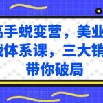 销售高手蜕变营，美业销售高手实战体系课，三大销售体系带你破局-我创创业-副业网-网络创业-资源分享-网课资源-学习教程-学知识-自媒体-抖音-视频号-小红书-网络项目,赚钱软件,副业,兼职,学生赚,挂机赚-我创创业-副业网-5ccy.cn
