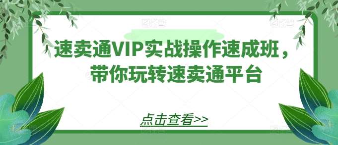 速卖通VIP实战操作速成班，带你玩转速卖通平台-我创创业-副业网-网络创业-资源分享-网课资源-学习教程-学知识-自媒体-抖音-视频号-小红书-网络项目,赚钱软件,副业,兼职,学生赚,挂机赚-我创创业-副业网-5ccy.cn