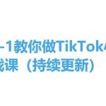 从0-1教你做TikTok小店实操课(持续更新)，手把手教你，简单易学-我创创业-副业网-网络创业-资源分享-网课资源-学习教程-学知识-自媒体-抖音-视频号-小红书-网络项目,赚钱软件,副业,兼职,学生赚,挂机赚-我创创业-副业网-5ccy.cn