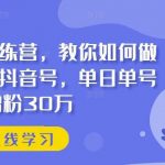 抖音实训训练营，教你如何做一个赚钱的抖音号，单日单号增粉30万-我创创业-副业网-网络创业-资源分享-网课资源-学习教程-学知识-自媒体-抖音-视频号-小红书-网络项目,赚钱软件,副业,兼职,学生赚,挂机赚-我创创业-副业网-5ccy.cn
