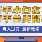 （10978期）新手小白在电商平台卖鼠标月入过万，最新赚钱教学-我创创业-副业网-网络创业-资源分享-网课资源-学习教程-学知识-自媒体-抖音-视频号-小红书-网络项目,赚钱软件,副业,兼职,学生赚,挂机赚-我创创业-副业网-5ccy.cn