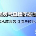 （10966期）21天-视频号直播实操课，视频号X私域高效引流与转化（22节课）-我创创业-副业网-网络创业-资源分享-网课资源-学习教程-学知识-自媒体-抖音-视频号-小红书-网络项目,赚钱软件,副业,兼职,学生赚,挂机赚-我创创业-副业网-5ccy.cn