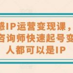 婚恋情感IP运营变现课,帮助心理情感咨询师快速起号变现,人人都可以是IP-我创创业-副业网-网络创业-资源分享-网课资源-学习教程-学知识-自媒体-抖音-视频号-小红书-网络项目,赚钱软件,副业,兼职,学生赚,挂机赚-我创创业-副业网-5ccy.cn