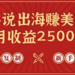 小说出海赚美金，稿费月收益2500+美金，仅需chatgpt粘贴复制，新手也能玩转【揭秘】-我创创业-副业网-网络创业-资源分享-网课资源-学习教程-学知识-自媒体-抖音-视频号-小红书-网络项目,赚钱软件,副业,兼职,学生赚,挂机赚-我创创业-副业网-5ccy.cn