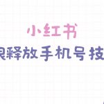 (9762期)小红书无限释放手机号技巧版手慢无-我创创业-副业网-网络创业-资源分享-网课资源-学习教程-学知识-自媒体-抖音-视频号-小红书-网络项目,赚钱软件,副业,兼职,学生赚,挂机赚-我创创业-副业网-5ccy.cn