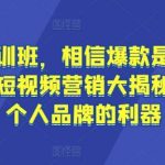 流量内训班，相信爆款是可以重复的，短视频营销大揭秘，打造个人品牌的利器-我创创业-副业网-网络创业-资源分享-网课资源-学习教程-学知识-自媒体-抖音-视频号-小红书-网络项目,赚钱软件,副业,兼职,学生赚,挂机赚-我创创业-副业网-5ccy.cn