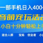 （9540期）一部手机日入400+，抖音萌宠视频玩法2.0，小白十分钟轻松上手（教程+素材）-我创创业-副业网-网络创业-资源分享-网课资源-学习教程-学知识-自媒体-抖音-视频号-小红书-网络项目,赚钱软件,副业,兼职,学生赚,挂机赚-我创创业-副业网-5ccy.cn