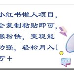 小红书懒人项目，会复制粘贴即可，涨粉快，变现能力强，轻松月入1万＋-我创创业-副业网-网络创业-资源分享-网课资源-学习教程-学知识-自媒体-抖音-视频号-小红书-网络项目,赚钱软件,副业,兼职,学生赚,挂机赚-我创创业-副业网-5ccy.cn