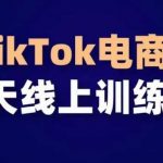TikTok电商带货30天线上课,不可错过的全球流量洼地!-我创创业-副业网-网络创业-资源分享-网课资源-学习教程-学知识-自媒体-抖音-视频号-小红书-网络项目,赚钱软件,副业,兼职,学生赚,挂机赚-我创创业-副业网-5ccy.cn