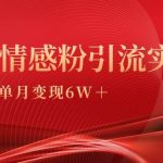 (9473期)单月变现6w+,情感粉引流变现实操课-我创创业-副业网-网络创业-资源分享-网课资源-学习教程-学知识-自媒体-抖音-视频号-小红书-网络项目,赚钱软件,副业,兼职,学生赚,挂机赚-我创创业-副业网-5ccy.cn