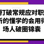 学会打破常规应对职场难题,听的懂学的会用得上职场人破圏锦囊-我创创业-副业网-网络创业-资源分享-网课资源-学习教程-学知识-自媒体-抖音-视频号-小红书-网络项目,赚钱软件,副业,兼职,学生赚,挂机赚-我创创业-副业网-5ccy.cn