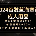 2024首发蓝海塞道成人用品,月入10W+保姆教程-我创创业-副业网-网络创业-资源分享-网课资源-学习教程-学知识-自媒体-抖音-视频号-小红书-网络项目,赚钱软件,副业,兼职,学生赚,挂机赚-我创创业-副业网-5ccy.cn