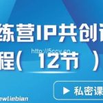 导师训练营3.0IP共创训练营私密实操课程(12节)-卖项目的密码成功秘诀【揭秘】-我创创业-副业网-网络创业-资源分享-网课资源-学习教程-学知识-自媒体-抖音-视频号-小红书-网络项目,赚钱软件,副业,兼职,学生赚,挂机赚-我创创业-副业网-5ccy.cn
