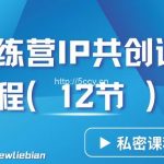 导师训练营3.0IP共创训练营私密实操课程（12节）-卖项目的密码成功秘诀-我创创业-副业网-网络创业-资源分享-网课资源-学习教程-学知识-自媒体-抖音-视频号-小红书-网络项目,赚钱软件,副业,兼职,学生赚,挂机赚-我创创业-副业网-5ccy.cn