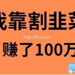 (9173期)我靠割韭菜赚了 100 万-我创创业-副业网-网络创业-资源分享-网课资源-学习教程-学知识-自媒体-抖音-视频号-小红书-网络项目,赚钱软件,副业,兼职,学生赚,挂机赚-我创创业-副业网-5ccy.cn