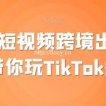 TikTok短视频跨境出海撸美金,带你玩TikTok短视频-我创创业-副业网-网络创业-资源分享-网课资源-学习教程-学知识-自媒体-抖音-视频号-小红书-网络项目,赚钱软件,副业,兼职,学生赚,挂机赚-我创创业-副业网-5ccy.cn