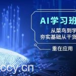 AI学习班2.0:从菜鸟到学霸,夯实基础从干货到硬货,重在应用(17节课)-我创创业-副业网-网络创业-资源分享-网课资源-学习教程-学知识-自媒体-抖音-视频号-小红书-网络项目,赚钱软件,副业,兼职,学生赚,挂机赚-我创创业-副业网-5ccy.cn