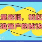 营销流量密码,轻松获取精准客户的秘诀-我创创业-副业网-网络创业-资源分享-网课资源-学习教程-学知识-自媒体-抖音-视频号-小红书-网络项目,赚钱软件,副业,兼职,学生赚,挂机赚-我创创业-副业网-5ccy.cn