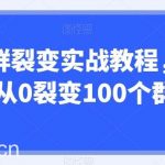 企微群裂变实战教程,低成本从0裂变100个群的-我创创业-副业网-网络创业-资源分享-网课资源-学习教程-学知识-自媒体-抖音-视频号-小红书-网络项目,赚钱软件,副业,兼职,学生赚,挂机赚-我创创业-副业网-5ccy.cn
