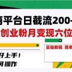 (8397期)电商平台日截流200 付费创业粉,月变现六位数简单好上手!-我创创业-副业网-网络创业-资源分享-网课资源-学习教程-学知识-自媒体-抖音-视频号-小红书-网络项目,赚钱软件,副业,兼职,学生赚,挂机赚-我创创业-副业网-5ccy.cn