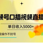 视频号口播视频直播玩法单日收入5000 ,一种可以单号持续操作的玩法-我创创业-副业网-网络创业-资源分享-网课资源-学习教程-学知识-自媒体-抖音-视频号-小红书-网络项目,赚钱软件,副业,兼职,学生赚,挂机赚-我创创业-副业网-5ccy.cn