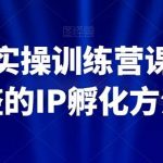 百万IP实操训练营课程，完整的IP孵化方法-我创创业-副业网-网络创业-资源分享-网课资源-学习教程-学知识-自媒体-抖音-视频号-小红书-网络项目,赚钱软件,副业,兼职,学生赚,挂机赚-我创创业-副业网-5ccy.cn