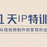21天IP特训营，教会从短视频制作到变现的全流程-我创创业-副业网-网络创业-资源分享-网课资源-学习教程-学知识-自媒体-抖音-视频号-小红书-网络项目,赚钱软件,副业,兼职,学生赚,挂机赚-我创创业-副业网-5ccy.cn