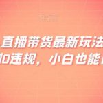 快手无人直播带货最新玩法，简单上手，亲测0违规，小白也能日入300 【揭秘】-我创创业-副业网-网络创业-资源分享-网课资源-学习教程-学知识-自媒体-抖音-视频号-小红书-网络项目,赚钱软件,副业,兼职,学生赚,挂机赚-我创创业-副业网-5ccy.cn