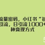 （8179期）揭秘流量密码，小红书“每天系列”引流，日引流1000 ，多种变现方式-我创创业-副业网-网络创业-资源分享-网课资源-学习教程-学知识-自媒体-抖音-视频号-小红书-网络项目,赚钱软件,副业,兼职,学生赚,挂机赚-我创创业-副业网-5ccy.cn