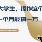 十万个富翁修炼宝典之4.一个大学生操作这个项目，一个月能搞一万-我创创业-副业网-网络创业-资源分享-网课资源-学习教程-学知识-自媒体-抖音-视频号-小红书-网络项目,赚钱软件,副业,兼职,学生赚,挂机赚-我创创业-副业网-5ccy.cn