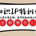 知识IP特训营 ：小红书-流量变现，带你轻松玩转小红书（23节视频课）-我创创业-副业网-网络创业-资源分享-网课资源-学习教程-学知识-自媒体-抖音-视频号-小红书-网络项目,赚钱软件,副业,兼职,学生赚,挂机赚-我创创业-副业网-5ccy.cn