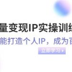 (8134期)流量变现-IP实操训练营:新手也能打造个人IP,成为百万 博主(46节课)-我创创业-副业网-网络创业-资源分享-网课资源-学习教程-学知识-自媒体-抖音-视频号-小红书-网络项目,赚钱软件,副业,兼职,学生赚,挂机赚-我创创业-副业网-5ccy.cn