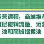 抖音商城运营课程:商城推荐流玩法,猜你喜欢底层逻辑流量,运营商城推荐池和商城搜索池-我创创业-副业网-网络创业-资源分享-网课资源-学习教程-学知识-自媒体-抖音-视频号-小红书-网络项目,赚钱软件,副业,兼职,学生赚,挂机赚-我创创业-副业网-5ccy.cn