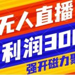 (8158期)快手挂机,美女无人直播,强开磁力聚星小铃铛,日入3000-我创创业-副业网-网络创业-资源分享-网课资源-学习教程-学知识-自媒体-抖音-视频号-小红书-网络项目,赚钱软件,副业,兼职,学生赚,挂机赚-我创创业-副业网-5ccy.cn