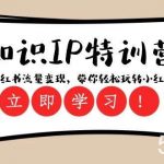 (8161期)知识IP特训营 :小红书-流量变现,带你轻松玩转小红书(23节视频课)-我创创业-副业网-网络创业-资源分享-网课资源-学习教程-学知识-自媒体-抖音-视频号-小红书-网络项目,赚钱软件,副业,兼职,学生赚,挂机赚-我创创业-副业网-5ccy.cn