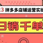 2023拼多多运营实操,每天30分钟日销1000+,爆款选品技巧大全(10节课)-我创创业-副业网-网络创业-资源分享-网课资源-学习教程-学知识-自媒体-抖音-视频号-小红书-网络项目,赚钱软件,副业,兼职,学生赚,挂机赚-我创创业-副业网-5ccy.cn