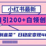 (8052期)小红书最新日引200 创业粉”割韭菜“日稳定变现4000 实操教程!-我创创业-副业网-网络创业-资源分享-网课资源-学习教程-学知识-自媒体-抖音-视频号-小红书-网络项目,赚钱软件,副业,兼职,学生赚,挂机赚-我创创业-副业网-5ccy.cn