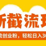 (8025期)全新截流玩法,精准引流创业粉,轻松日入300-我创创业-副业网-网络创业-资源分享-网课资源-学习教程-学知识-自媒体-抖音-视频号-小红书-网络项目,赚钱软件,副业,兼职,学生赚,挂机赚-我创创业-副业网-5ccy.cn