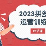 (7805期)2023拼多多运营训练营:流量底层逻辑,免费 付费流量玩法(12节课)-我创创业-副业网-网络创业-资源分享-网课资源-学习教程-学知识-自媒体-抖音-视频号-小红书-网络项目,赚钱软件,副业,兼职,学生赚,挂机赚-我创创业-副业网-5ccy.cn