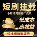 2023短视频蓝海项目,抖音快手短剧推广变现教程,低成本高收益-我创创业-副业网-网络创业-资源分享-网课资源-学习教程-学知识-自媒体-抖音-视频号-小红书-网络项目,赚钱软件,副业,兼职,学生赚,挂机赚-我创创业-副业网-5ccy.cn