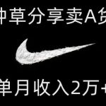 靠图文种草分享卖A货潮鞋,每天一小时,单月收入2万 【揭秘】-我创创业-副业网-网络创业-资源分享-网课资源-学习教程-学知识-自媒体-抖音-视频号-小红书-网络项目,赚钱软件,副业,兼职,学生赚,挂机赚-我创创业-副业网-5ccy.cn