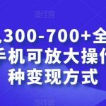 日入300-700 全程1部手机可放大操作多种变现方式【揭秘】-我创创业-副业网-网络创业-资源分享-网课资源-学习教程-学知识-自媒体-抖音-视频号-小红书-网络项目,赚钱软件,副业,兼职,学生赚,挂机赚-我创创业-副业网-5ccy.cn