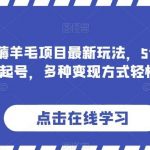 价值1980的薅羊毛项目最新玩法,5分钟一条原创作品,快速起号,多种变现方式轻松月入1W+【揭秘】-我创创业-副业网-网络创业-资源分享-网课资源-学习教程-学知识-自媒体-抖音-视频号-小红书-网络项目,赚钱软件,副业,兼职,学生赚,挂机赚-我创创业-副业网-5ccy.cn