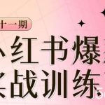 小红书博主爆款训练营第11期,手把手教你从0-1做小红书,从定位到起号到变现-我创创业-副业网-网络创业-资源分享-网课资源-学习教程-学知识-自媒体-抖音-视频号-小红书-网络项目,赚钱软件,副业,兼职,学生赚,挂机赚-我创创业-副业网-5ccy.cn