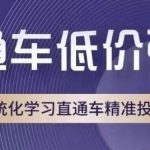 直通车低价引流课，系统化学习直通车精准投放-我创创业-副业网-网络创业-资源分享-网课资源-学习教程-学知识-自媒体-抖音-视频号-小红书-网络项目,赚钱软件,副业,兼职,学生赚,挂机赚-我创创业-副业网-5ccy.cn