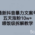 最新抖音暴力文案号,五天涨粉10w ,喂饭级拆解教学-我创创业-副业网-网络创业-资源分享-网课资源-学习教程-学知识-自媒体-抖音-视频号-小红书-网络项目,赚钱软件,副业,兼职,学生赚,挂机赚-我创创业-副业网-5ccy.cn