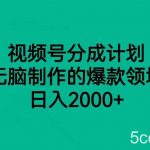 视频号分成计划,无脑制作的爆款领域,日入2000-我创创业-副业网-网络创业-资源分享-网课资源-学习教程-学知识-自媒体-抖音-视频号-小红书-网络项目,赚钱软件,副业,兼职,学生赚,挂机赚-我创创业-副业网-5ccy.cn