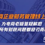 电商企业-财务管理线上课:为电商老板答疑解惑-让所有财税问题都迎刃而解-我创创业-副业网-网络创业-资源分享-网课资源-学习教程-学知识-自媒体-抖音-视频号-小红书-网络项目,赚钱软件,副业,兼职,学生赚,挂机赚-我创创业-副业网-5ccy.cn