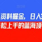 小红书虚拟资料掘金,日入300 小白也能轻松上手的蓝海项目【揭秘】-我创创业-副业网-网络创业-资源分享-网课资源-学习教程-学知识-自媒体-抖音-视频号-小红书-网络项目,赚钱软件,副业,兼职,学生赚,挂机赚-我创创业-副业网-5ccy.cn